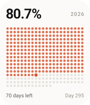 Year progress widget: 80.7% of the year